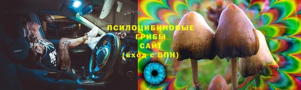 соль ск Абаза